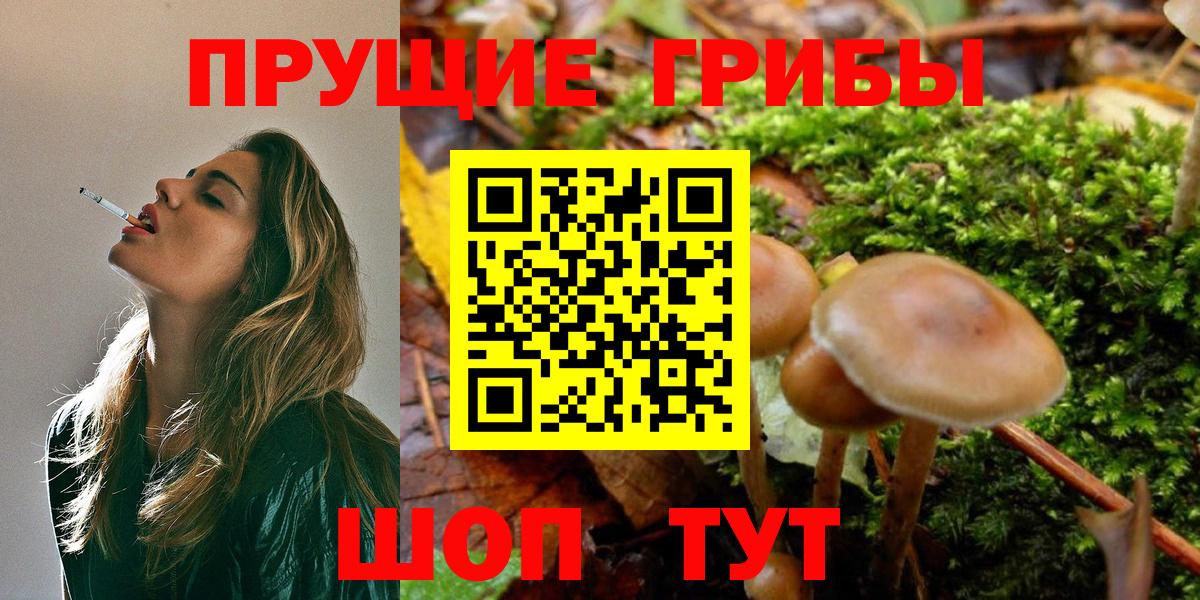 Галлюциногенные грибы Magic Shrooms  Вход с VPN  Лесозаводск 